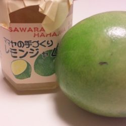 母島からの贈り物